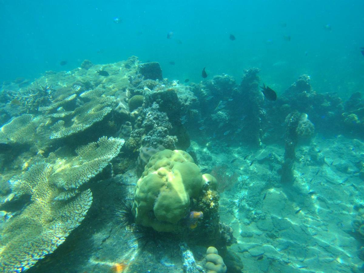 Playa Encantada Beach Resort El Nido Luaran gambar