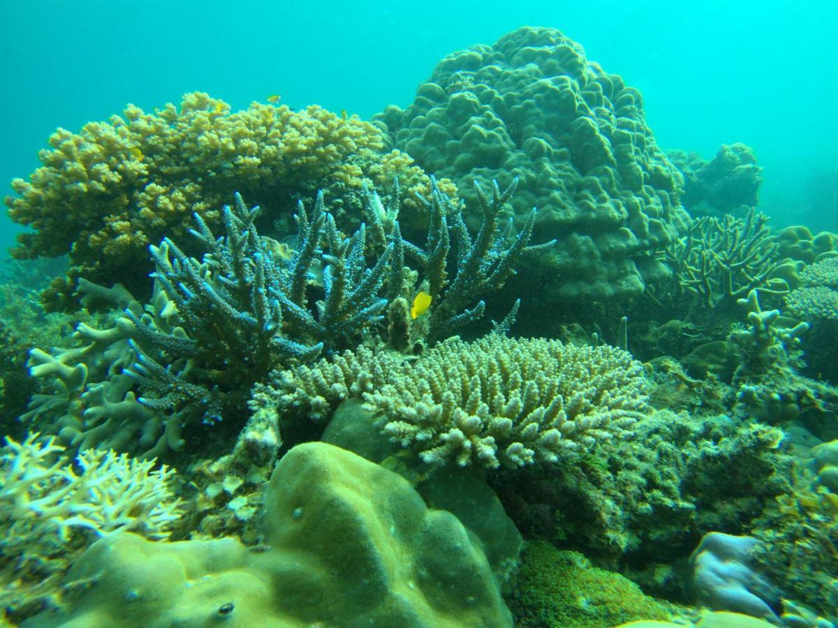 Playa Encantada Beach Resort El Nido Luaran gambar