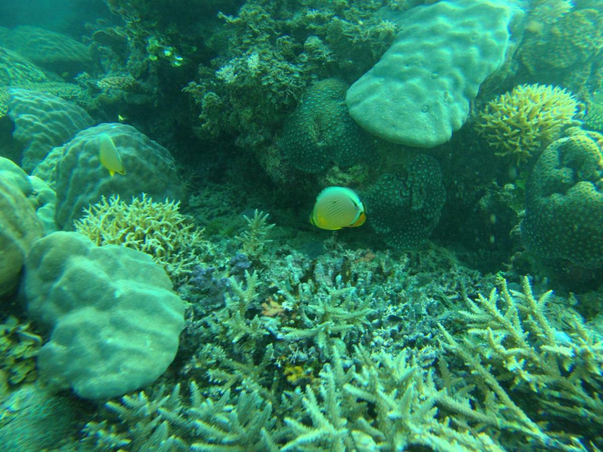 Playa Encantada Beach Resort El Nido Luaran gambar